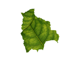 Bolivia map made of green leaves ecology concept png