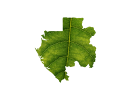 Gabón mapa hecho de verde hojas, concepto ecología mapa verde hoja png