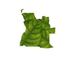 Angola kaart gemaakt van groen bladeren, concept ecologie kaart groen blad png