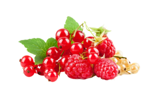 berry png transparent background