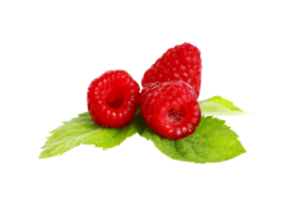 berry png transparent background