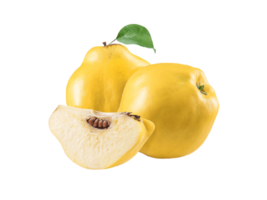 quince png transparent background