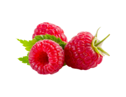 berry png transparent background