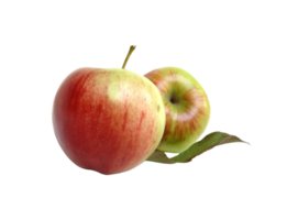 Apfel png transparent Hintergrund