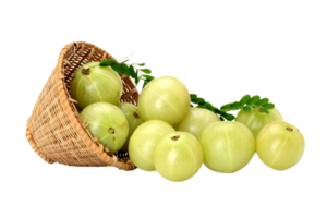 amla png transparente fundo