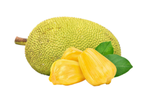 jackfruit png trasparente sfondo