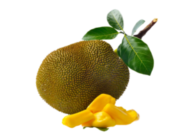 jackfruit png transparent background