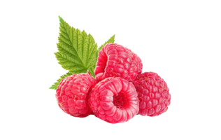 berry png transparent background