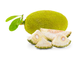 jackfruit png trasparente sfondo