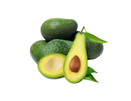 aguacate png transparente antecedentes