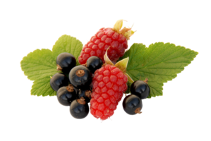 berry png transparent background