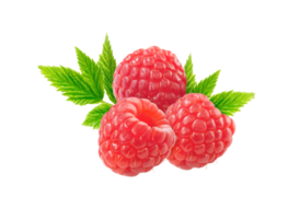 berry png transparent background