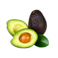 aguacate png transparente antecedentes