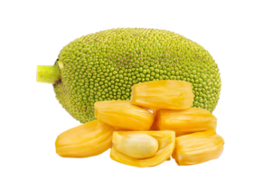 jackfruit png trasparente sfondo