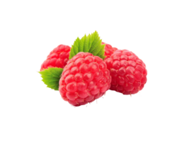 berry png transparent background