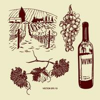 Bottle of red wine, grapevine, leaves, vineyards. Vector illustration in graphic style. Design element for menus, wine lists, labels, banners, flyers.