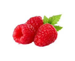 berry png transparent background