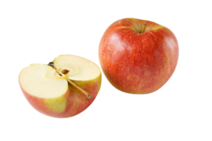 apple png transparent background