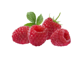 berry png transparent background