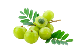 amla PNG transparant achtergrond