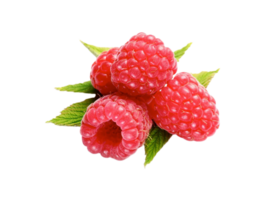 berry png transparent background