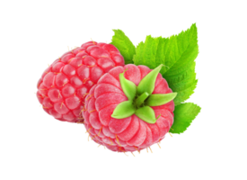 berry png transparent background