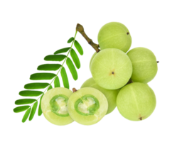 amla PNG transparant achtergrond