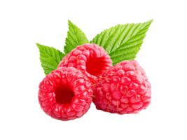 berry png transparent background