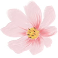 Blume Kosmos süß Pastell- png