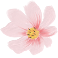 flor cosmos fofa pastel png