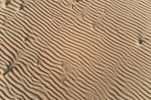 Desert sand texture with line pattern, top view photo