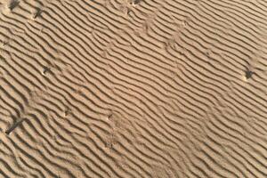 Desert sand texture with line pattern, top view photo