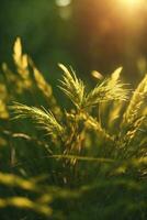 Wild grass in the forest at sunset. Macro image, shallow depth of field. Abstract summer nature background. Vintage filter. AI generated photo