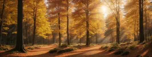 Panoramic Sunny Forest in Autumn. AI generated photo