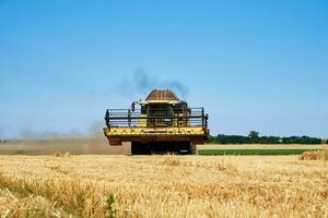 Combine harvester harvesting golden ripe wheat in agricultural field photo