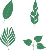 Flat Tropical Leaves Icon. Isolated on White Background. Vector Illustration Set.