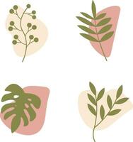 Abstract Shape of Organic Leaves. Vector Illustration Set.