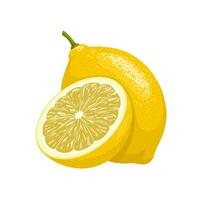 Vector illustration, fresh lemons, whole and halved, isolated on white background.