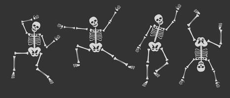 Dancing human skeletons vector set. Different skeleton poses set isolated on dark background vector illustration. Halloween concept. Flat vector in cartoon style isolated on dark background.