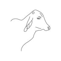 Cow head outline drawing on white background. vector