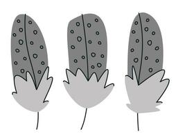 Set of guinea fowl feathers in doodle style vector