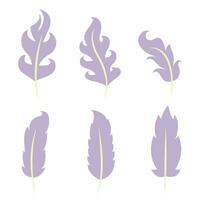 Set of purple feathers in flat style. vector