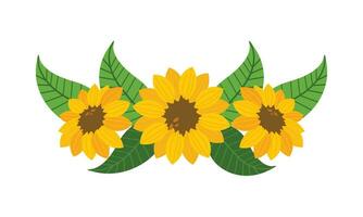 Vector sunflower element isolated on white