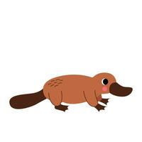 Vector picture of cute platypus isolated on white background.