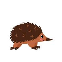Vector picture of cute echidna isolated on white background.