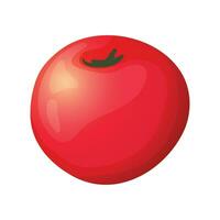 vector Fresco rojo Tomates en un blanco antecedentes sabroso vegetal