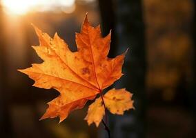 arce hojas otoño de cerca. generar ai foto
