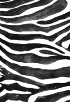 Black and white striped zebra skin texture png