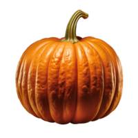 Pumpkin Whole Pumpkin Halloween Pumpkin No Background Applicable to any Context Perfect for Print on demand Merchandise Ai Generated ai generative png