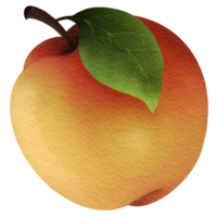 This picture is drawn and painted to look like apple. png